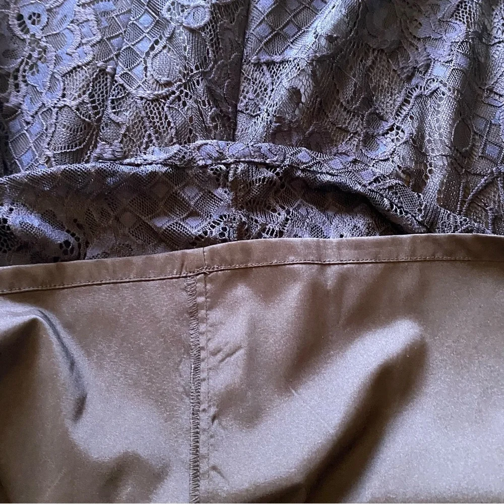 Adrianna Papell Adele lace shift dress NWT